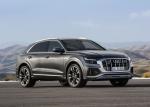 Audi SQ8 TDI 2019 года (WW)